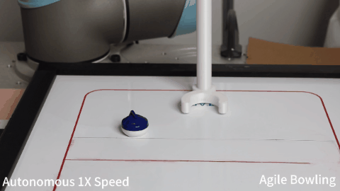 RL-100 project thumbnail